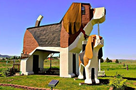 Durma em um Dog - Hotel Dog Bark Park Inn