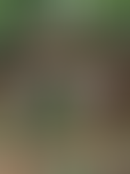 Lamego - A Cidade Fantasma da Floresta Amazônica