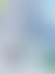 Japoneses criam projeto de cidade sustentável Submersa