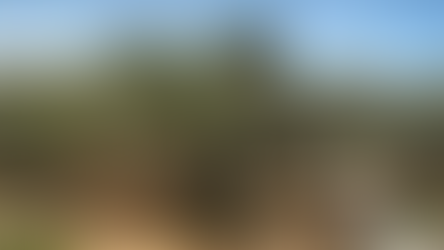 Monte das Oliveiras: O Portal Entre o Céu e a Terra