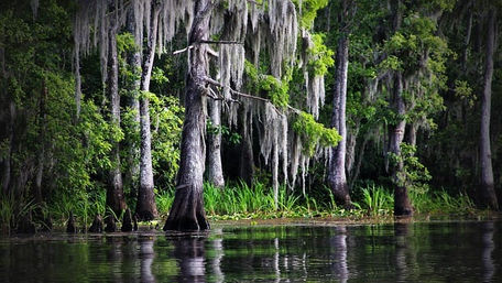 Manchac: O Pântano Enfeitiçado