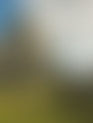 As Almas Torturadas do Priorado de Christchurch