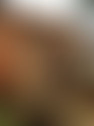 Castelo Tabor, Com Fantasmas 