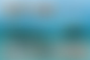 Ecologia de Naufrágios 