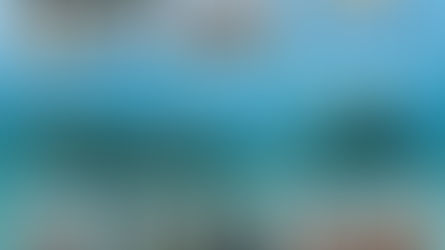 Ecologia de Naufrágios