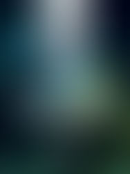 PADI FESTIVAL - Mergulhe literalmente...