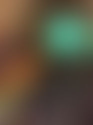 Mergulhe para entrar na Pousada, Literalmente! - Jules Undersea Lodge