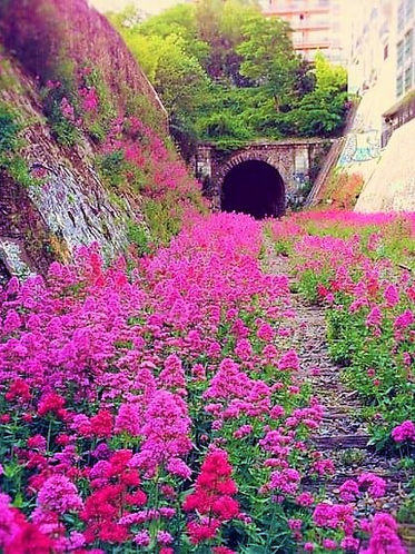 The Petite Ceinture Railway Line