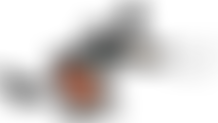 Trump & Musk | Bromance Dissolved