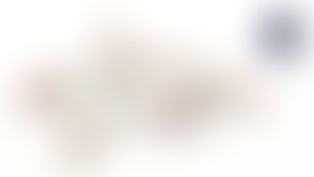 Presidential Campaign 2024 | One Down, One To Go