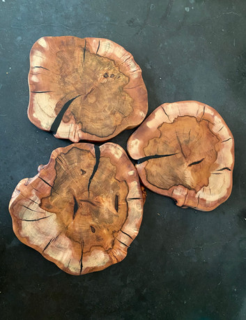 Dogwood platters