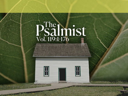 Being Prepared to Know Your Faith: Advice from Psalm 119:41-48