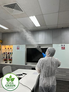 disinfection (4).jpg