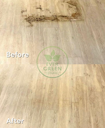 Floor Deep Clean Before After (4).jpg