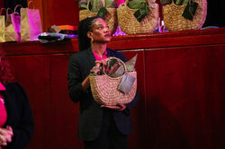 Mulheres de Eventos 2025