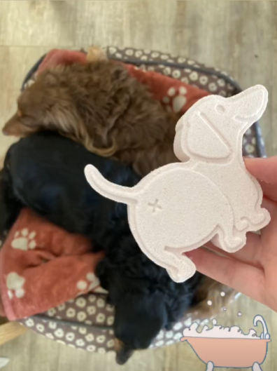 Thumbnail: Botanical Skincare Lab's zero waste vegan Dachshund Bath Fizzie