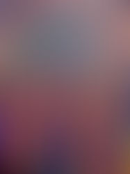 ‘Leeeeefs’, the 4th studio album by magenta placenta