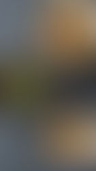 Wagyu: Se credi ancora ai massaggi e alla birra, non hai capito nulla del Giappone (e della Carne)