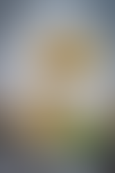 Carciofi in Sfoglia con Cuore di Carne: lo Scrigno che Stupisce