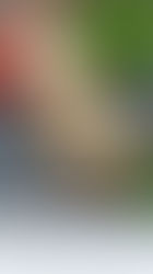 Mini cheesecake: senza forno e con mascarpone!