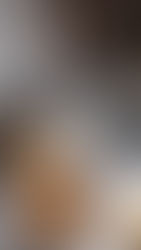 Nilla Wafers - ricetta originale dei biscotti alla vaniglia più buoni di sempre