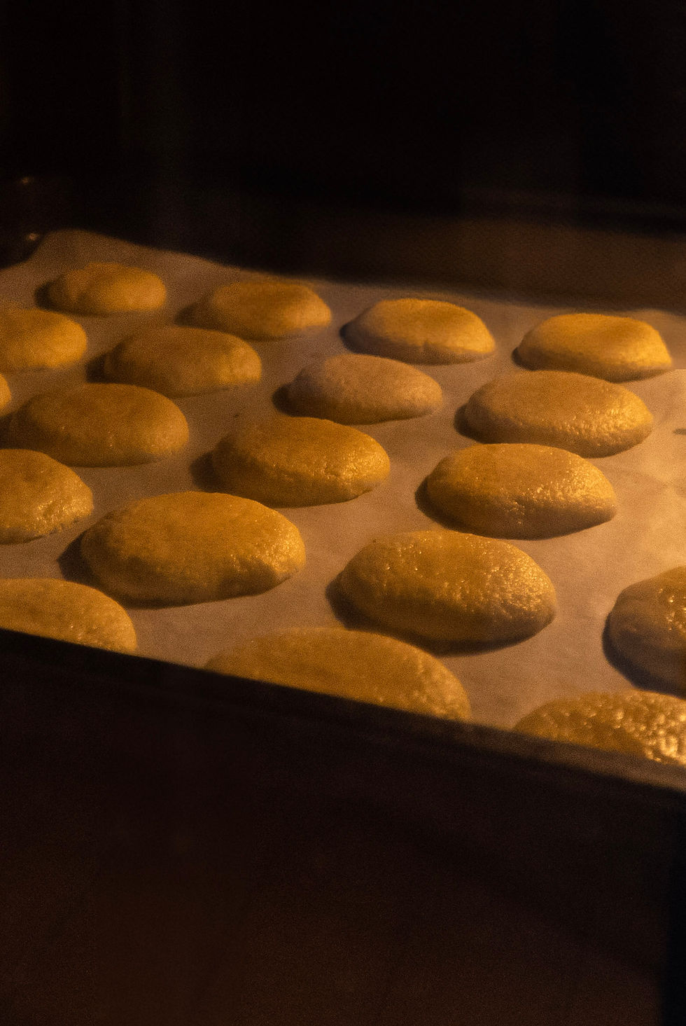 Nilla Wafers in forno