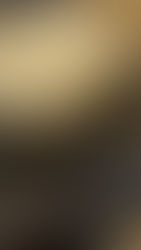 Puri: il puri di Ramadevi, il pane fritto indiano