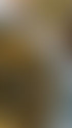 Greens: senza collard, ma con il cavolo nero, proviamo a salvare il Thanksgiving