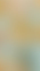 Donut: 10 miliardi di ciambelle all'anno negli USA!