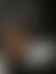 Confezione di pumpkin spice mix