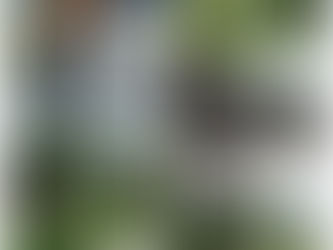 【園區公告】颱風後的環境整理工作