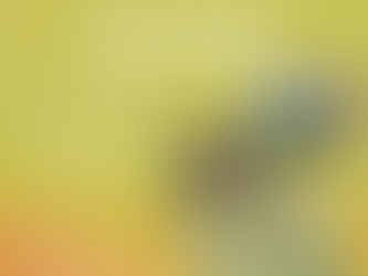 親子共讀時光活動《石頭毛蟲》