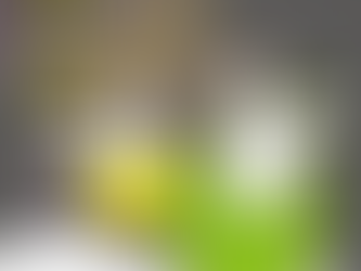 𝐇𝐚𝐩𝐩𝐲 𝐌𝐎𝐎𝐍 𝐅𝐞𝐬𝐭𝐢𝐯𝐚𝐥 中秋佳節愉快