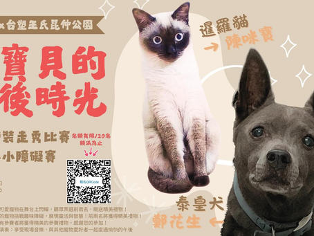 毛寶貝的午後時光 #寵物走秀#小小障礙賽