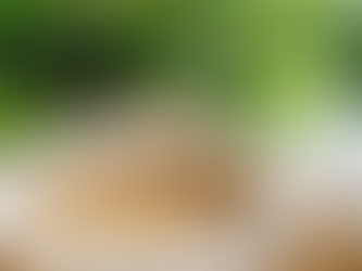 【柑仔記士多】幸福滿能量,新品上市