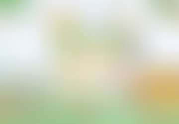 即時尋樂創意市集