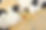 480929076_957005683082196_2189577385221346365_n.jpg