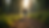 Eye-level view of a person walking on a forest trail