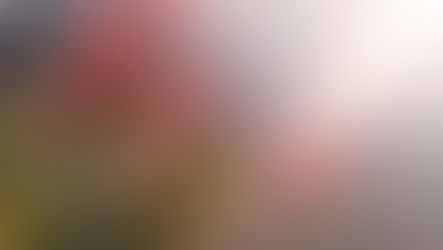 Celebrating Black History in Botany: A look at the contributions of Marie Clark Taylor