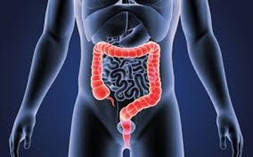 Prevent Colorectal Cancer