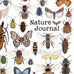 Nature Journal (early years)
