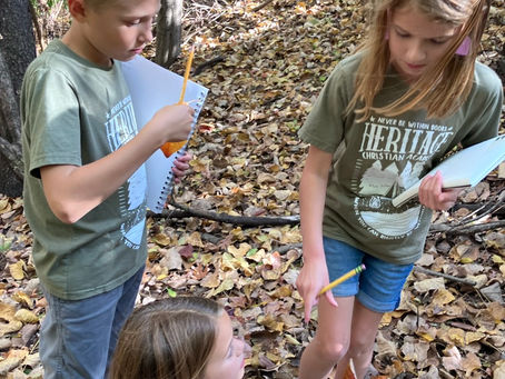 HCA WEEKLY UPDATE + NEWS