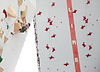 ClimbYEG_CommunityComp_June22_82_edited_edited.jpg