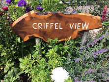 criffel view.jpeg