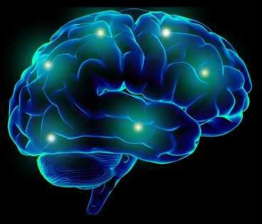 What is consciousness?