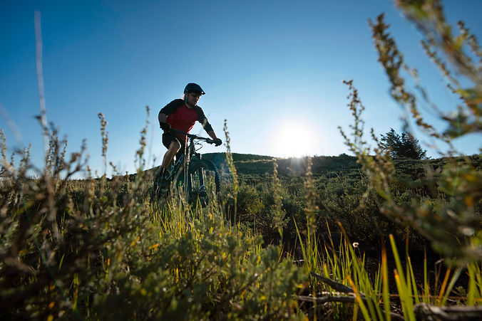 giovani-adulti-che-utilizzano-la-bici-elettrica-in-campagna.jpg