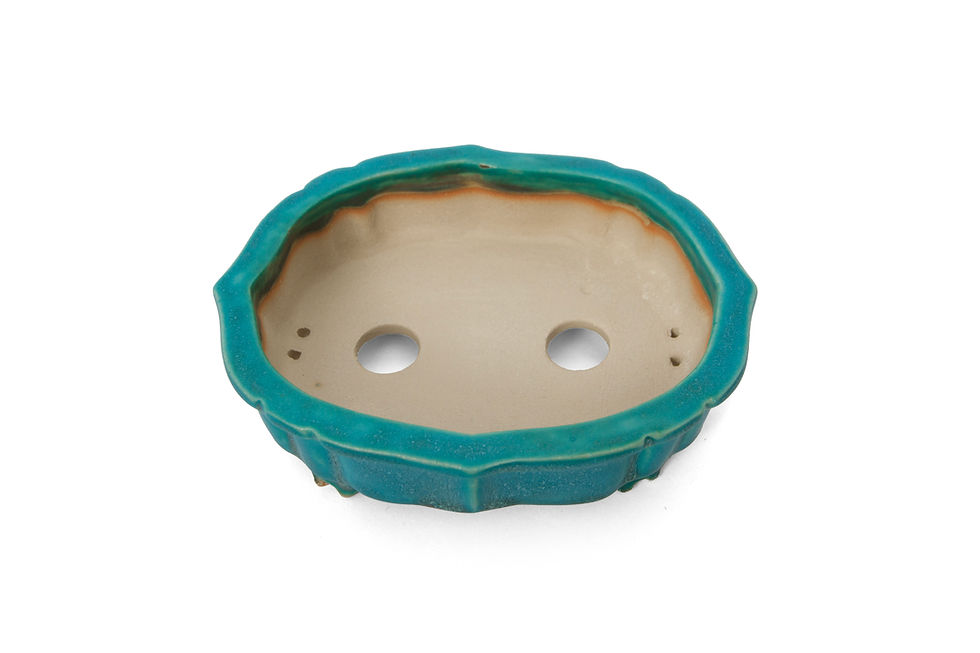 Thumbnail: Lotus pot with turquoise glaze and a rim from above