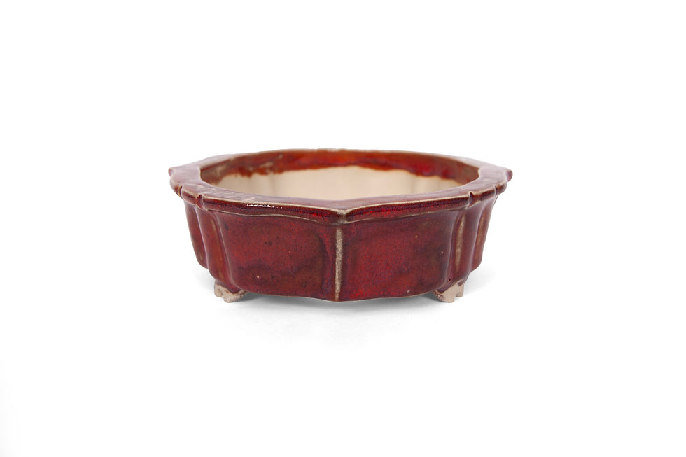 Thumbnail: Shohin lotus bonsai pot with red glaze and a rim, side