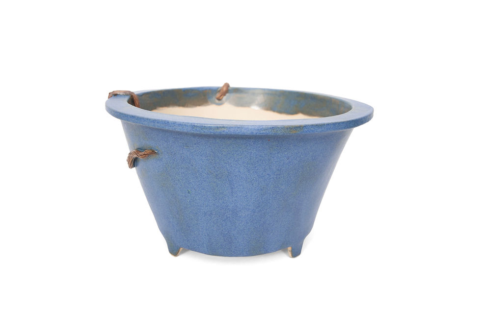 Thumbnail: Ronde hoge bonsai pot in een blauwe glazuur voor een azalea met luchtwortels, zijde