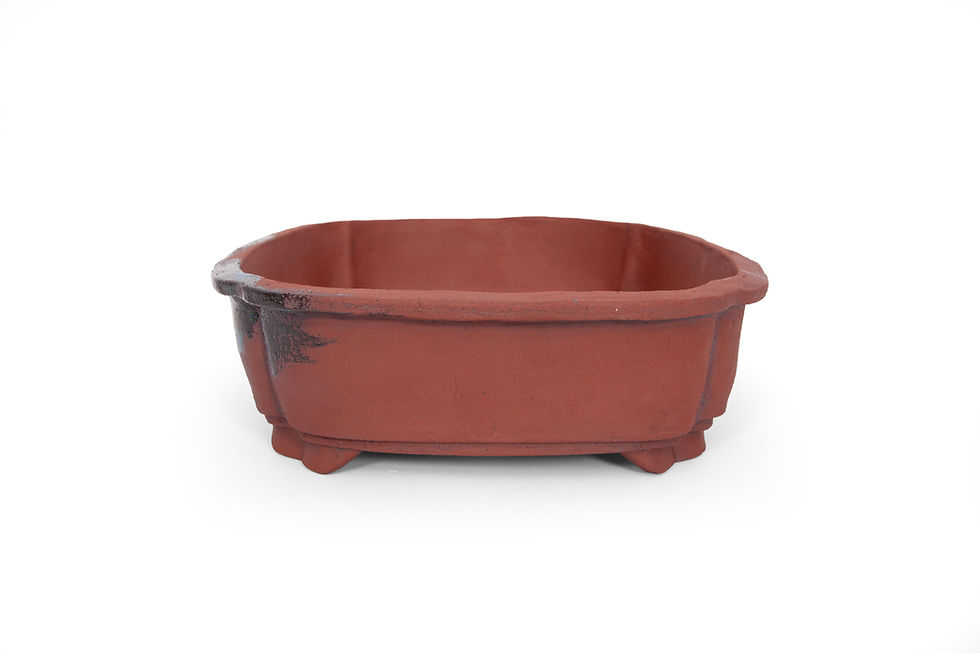 Thumbnail: Bonsai pot van rode klei in een rechthoekige vorm met ronde hoeken en een rand, andere zijkant